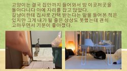 hilokal-notebook-image
