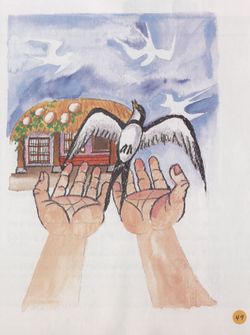 hilokal-notebook-image