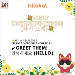 hilokal-notebook-image