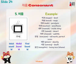 hilokal-notebook-image