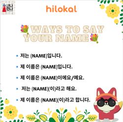 hilokal-notebook-image
