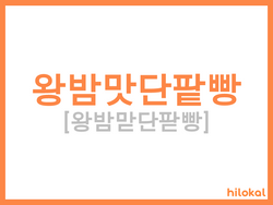 hilokal-notebook-image
