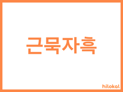 hilokal-notebook-image