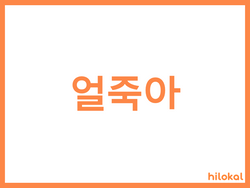 hilokal-notebook-image