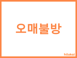 hilokal-notebook-image