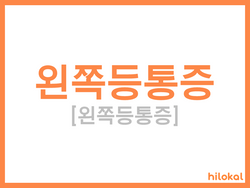 hilokal-notebook-image