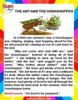 hilokal-notebook-image