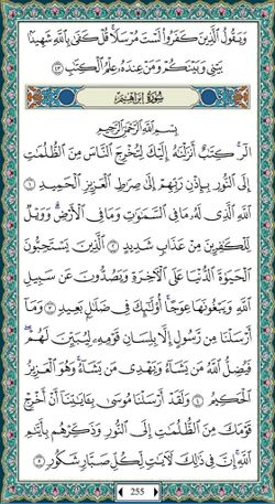 hilokal-notebook-image