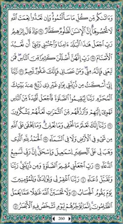 hilokal-notebook-image