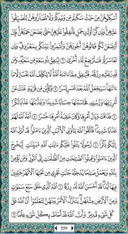 hilokal-notebook-image