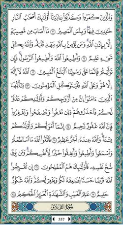 hilokal-notebook-image
