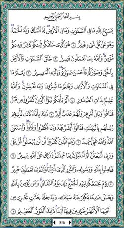 hilokal-notebook-image