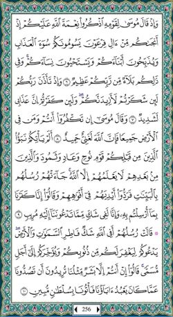 hilokal-notebook-image