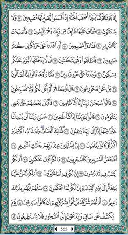 hilokal-notebook-image