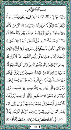 hilokal-notebook-image